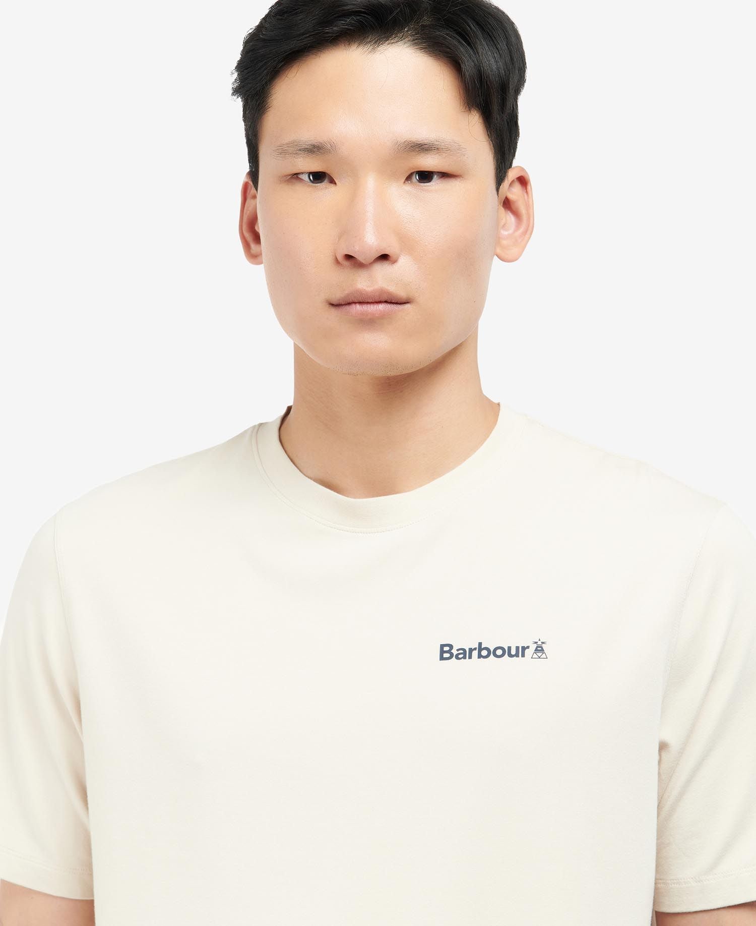 Barbour Coordinates Logo T-Shirt Mist